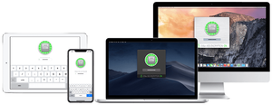 The Vault Review. Secure storage of information on Mac and iOS
