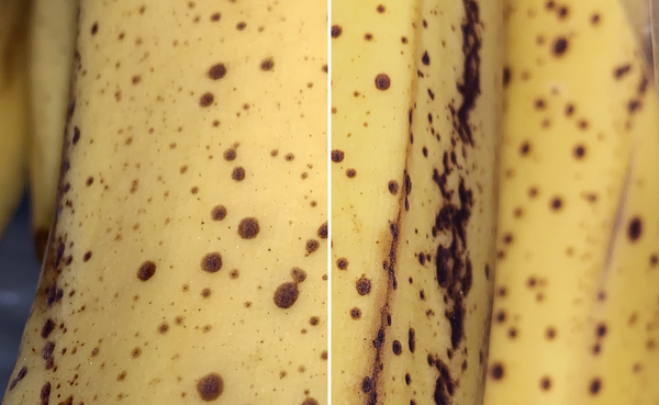 How to compare multiple photos together on iOS