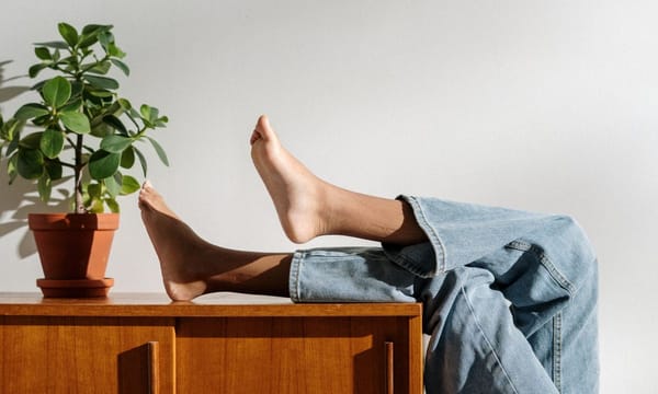 How to remember to water your plants on time